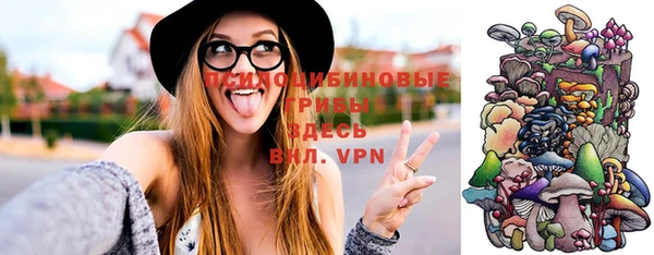прущие грибы Бежецк