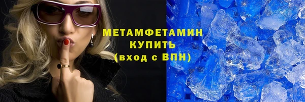 прущие грибы Бежецк